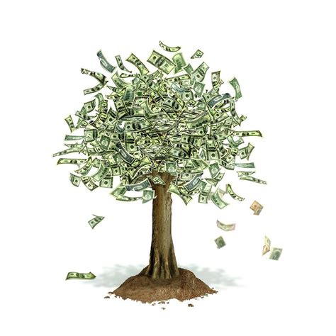 money trees-4